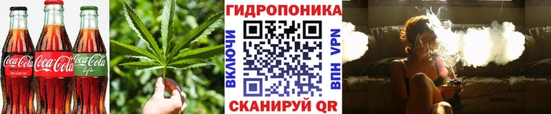 Canna-Cookies конопля  Холмск 